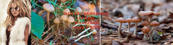 дистиллят марихуана Абинск