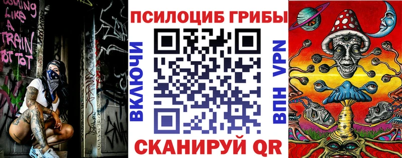 kraken зеркало  Яблоновский  Псилоцибиновые грибы прущие грибы 